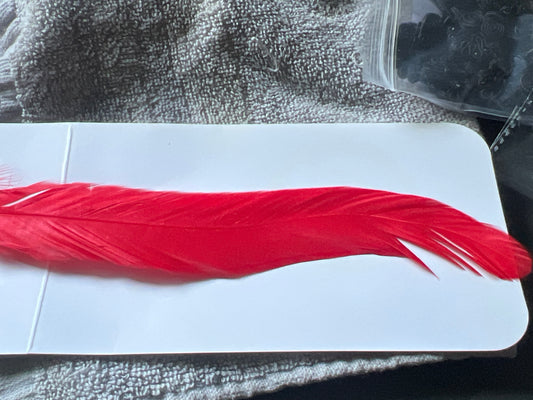 Plume Rouge Décorative 20cm