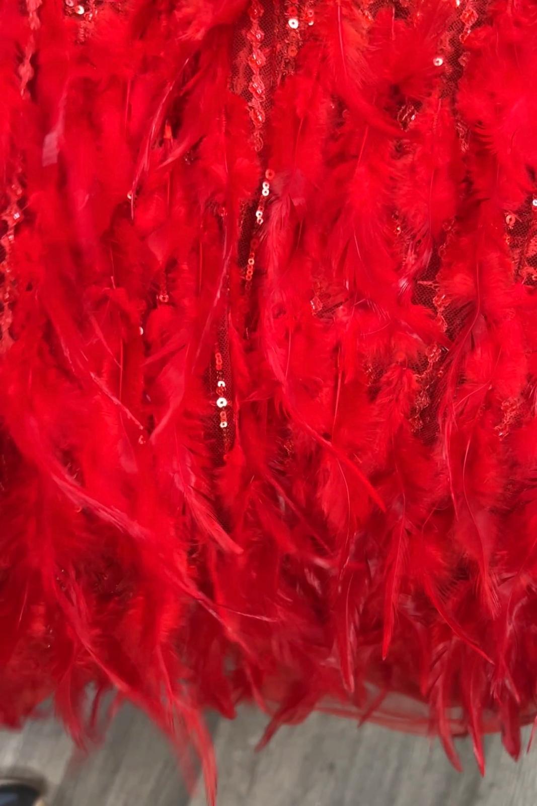 Coupon Dentelle Rouge Plumes et Sequins – 3,50m – Haute Couture